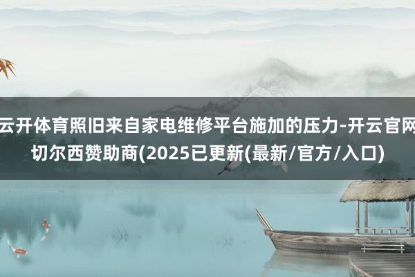 云开体育照旧来自家电维修平台施加的压力-开云官网切尔西赞助商(2025已更新(最新/官方/入口)
